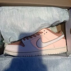 Nike Dunk Sb