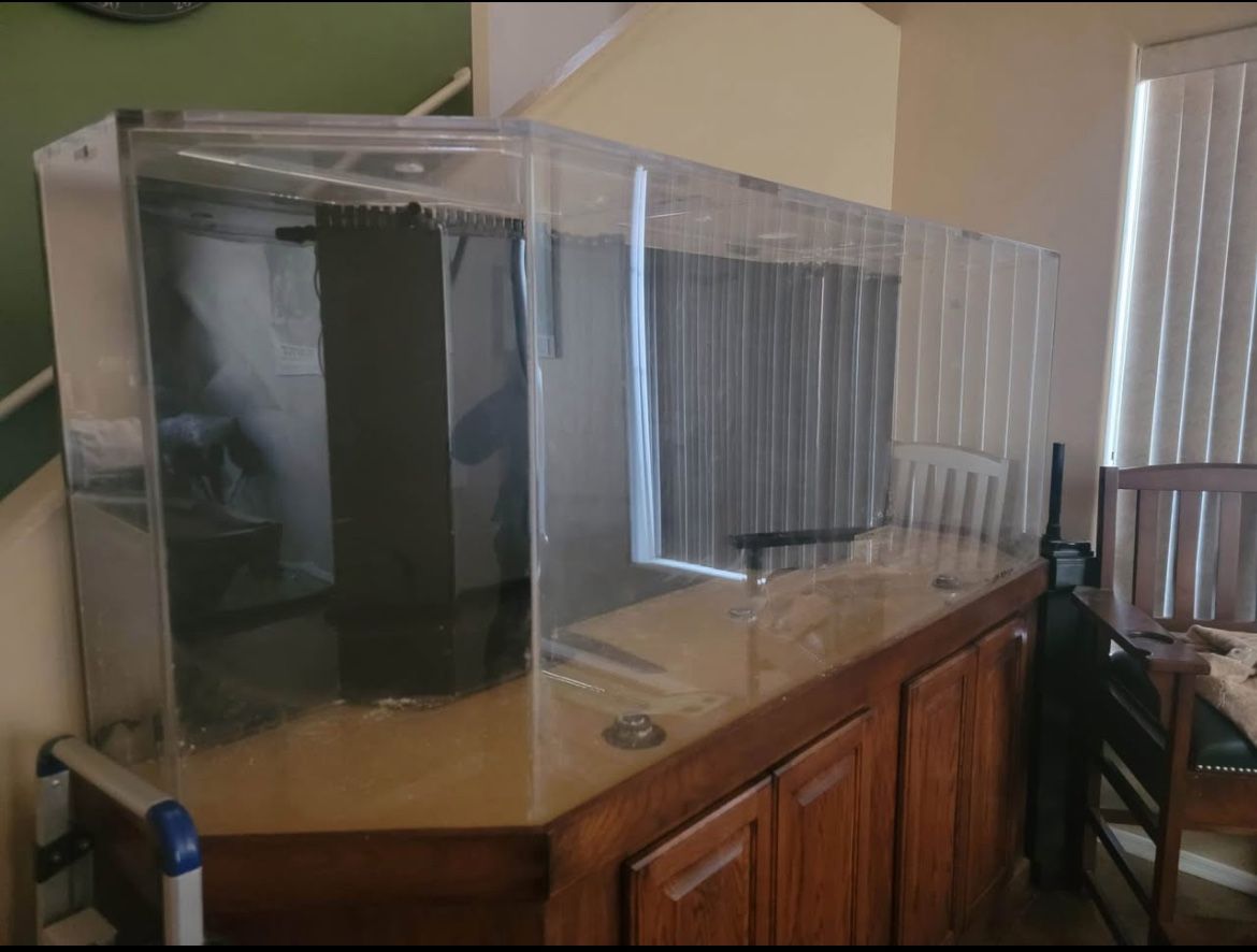 Salt Water Fish Tank 