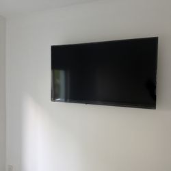Vizio 50 Inch Tv /w Wall Mount $80