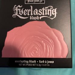 Kat V D Highlighter brush brand new never used