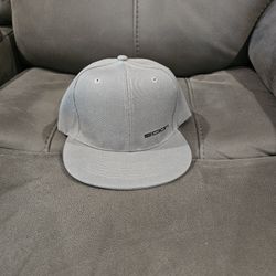 Gray Scion Hat