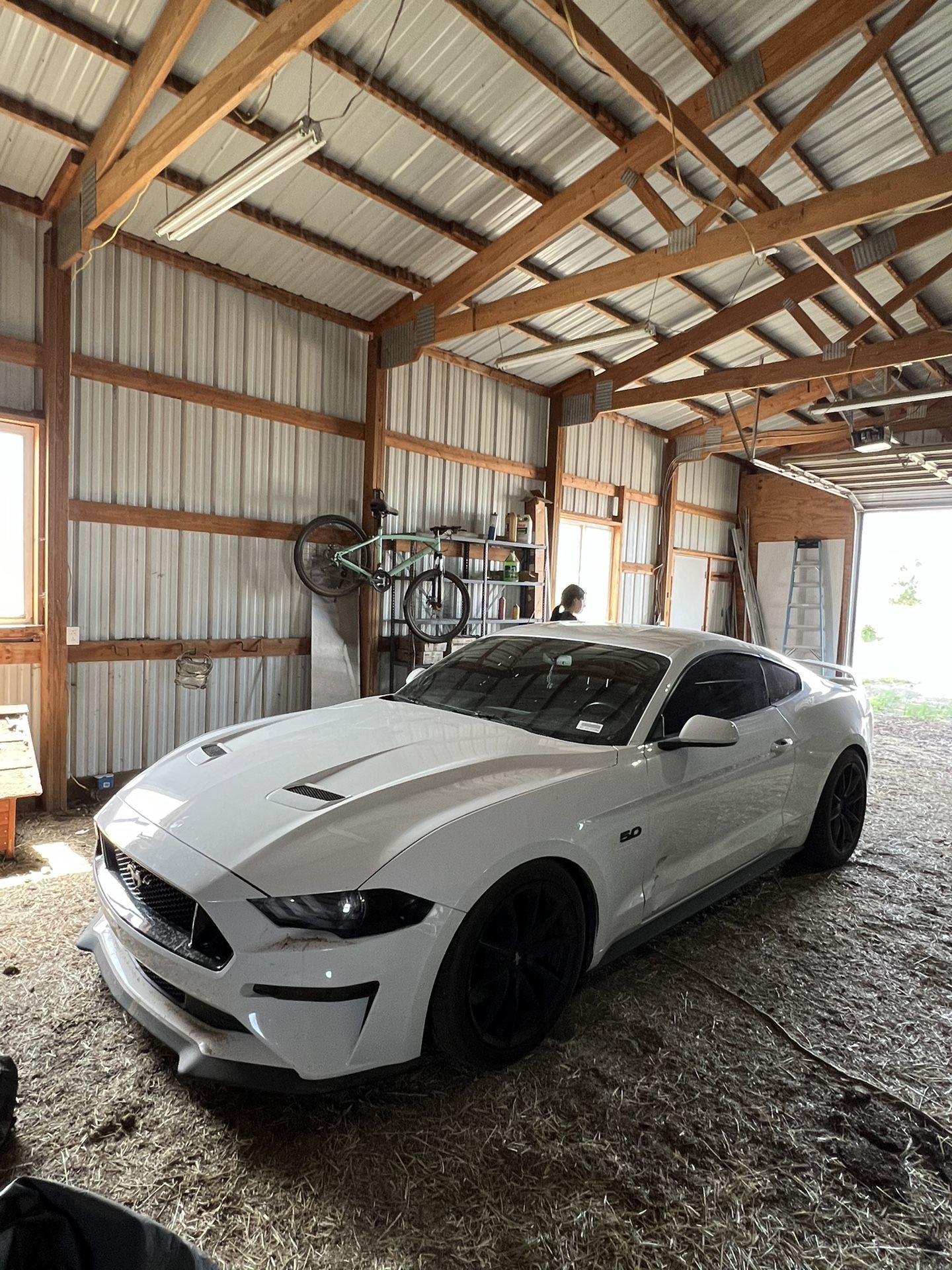 2019 Ford Mustang