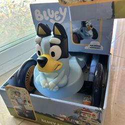 Bluey Scooter  