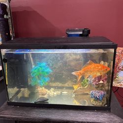 Aquarium 10 gallon