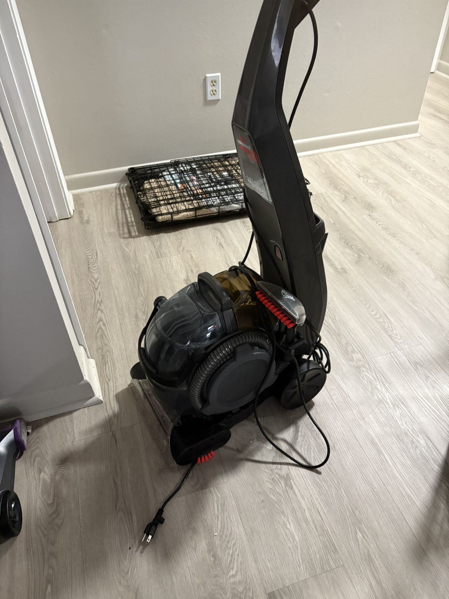 Bissell Carpet Cleaner