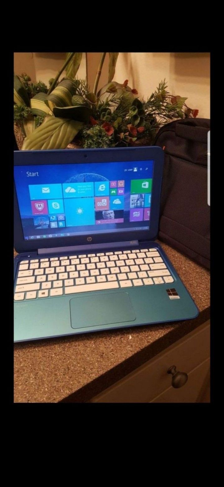 11.6 Hp stream laptop windows 8