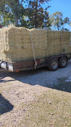 Hay And Firewood