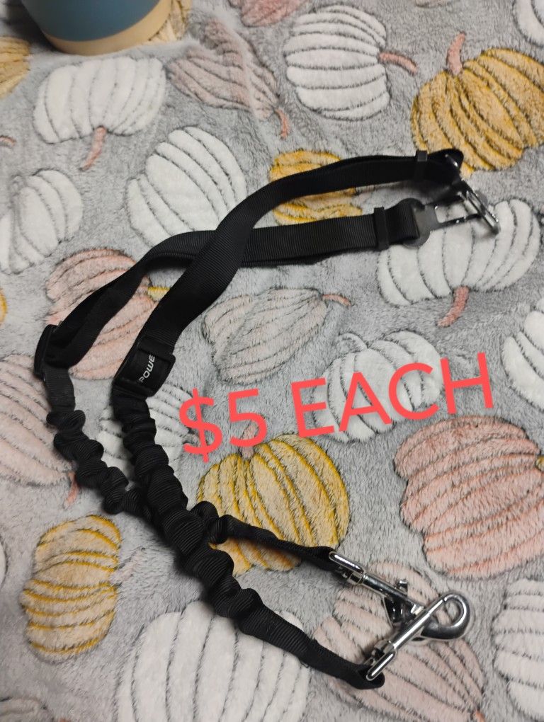 (2) Dog Car Leash