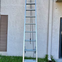 Werner 16ft Aluminum Ladder 