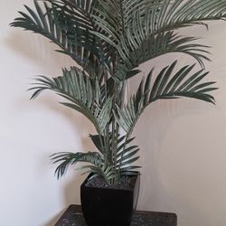 Faux Plant/Are a Palm
