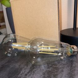 E26 Bulbs