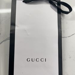 Gucci Bag Only 11.5x6.5