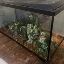  Reptile Tank 