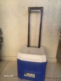 Mini cooler for 24 cans