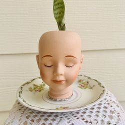 Dollhead Planter With Antique Saucer & Snake Plant 