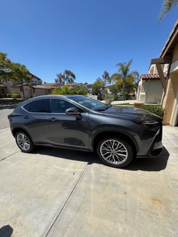 2025 Lexus NX