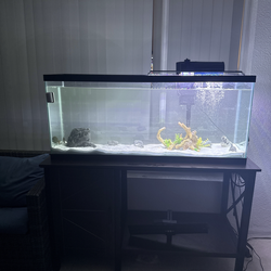 55 Gallon Fish Tank Setup w/ Stand, Filter, LED Light & Decor