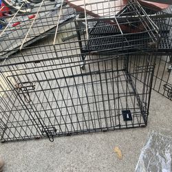 Medium kennels 