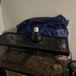 Reptile Tank 33 Gallon (in Great Condition)