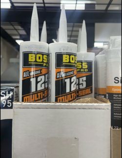 🛠️ BOSS Pro All Season 125 Multi Seal – Built to Perform in Every Season!