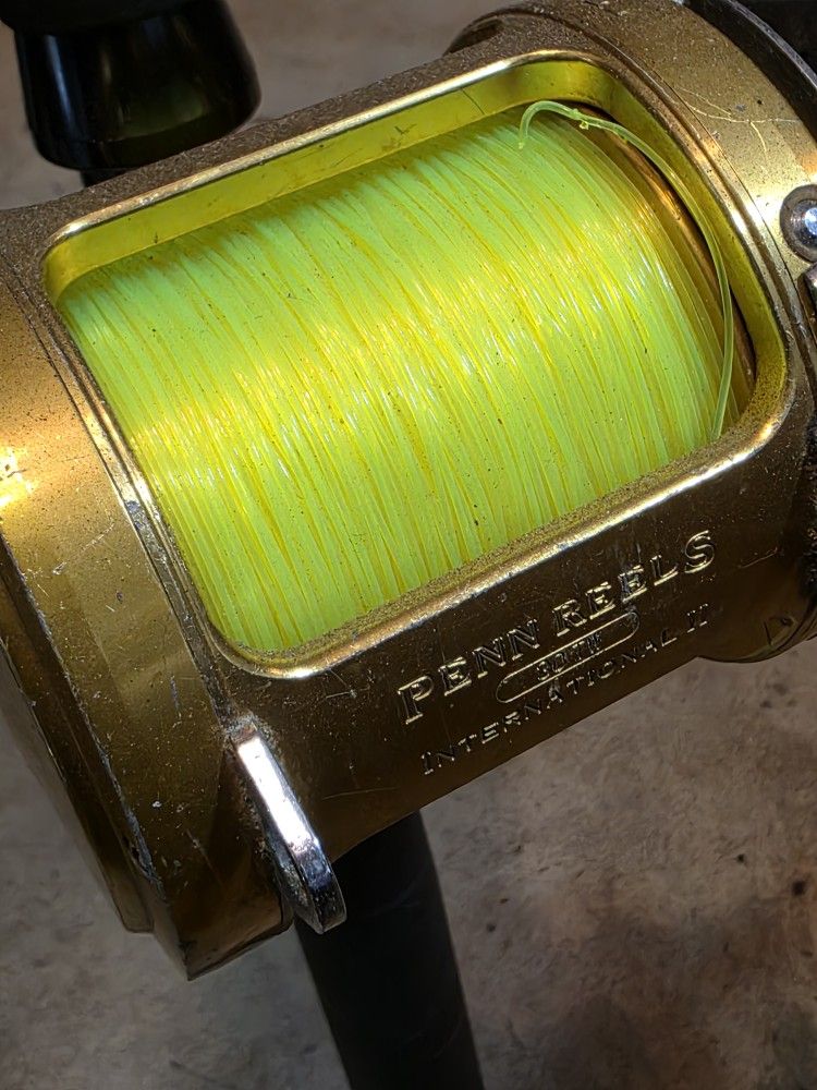 Penn International Fishing Reel/New Lines/New Rod