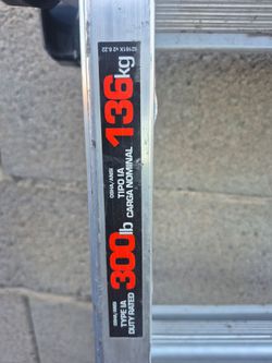Little  Giant Alluminum Ladder