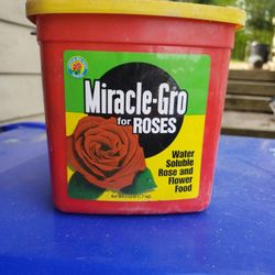 Miracle Grow For Roses