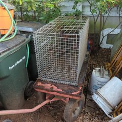 Large Animal Cage