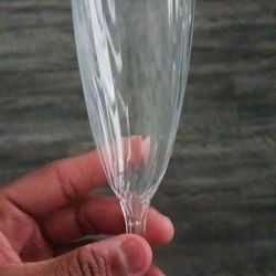 Champagne Cup