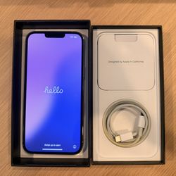 Silver iPhone 13 Pro Max (256 GB)