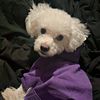 Vee