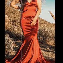 Special Occasion  Silk Dress
