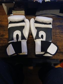 12 Oz Everlast Gloves