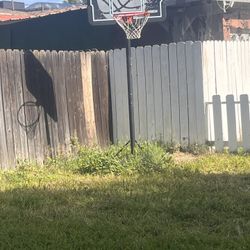 Basketball Hoop 
