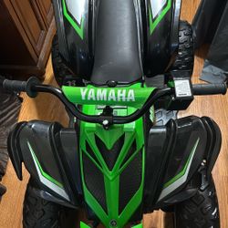 Brand new kids raptor four wheeler