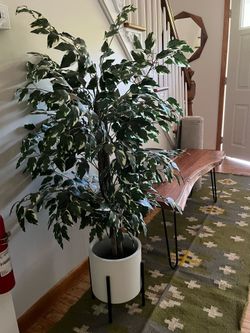 Artificial Ficus Tree in White Pot with Stand