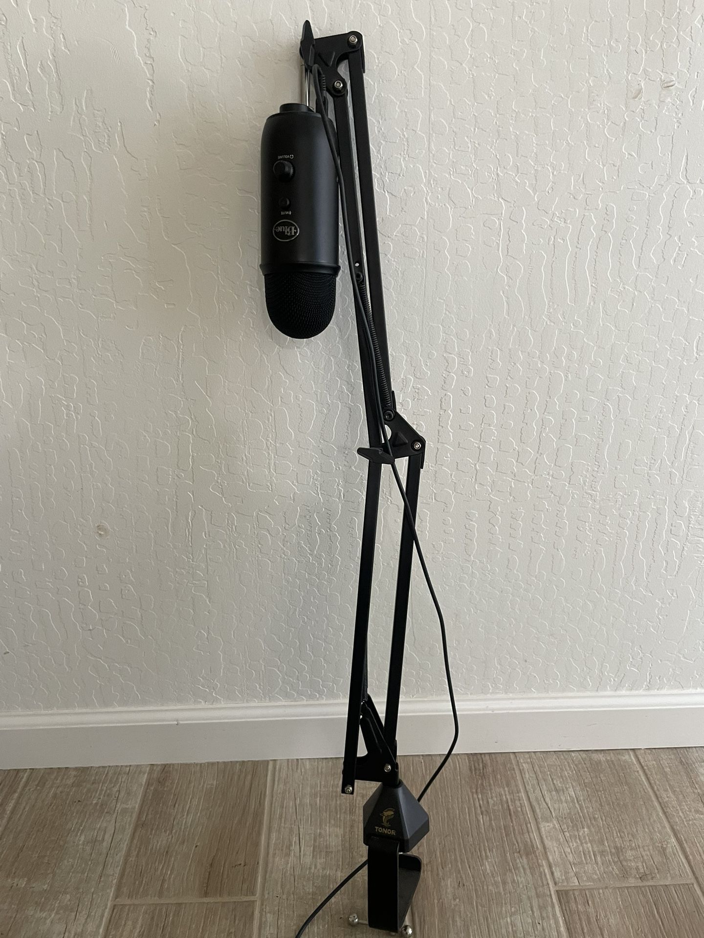 Microphone