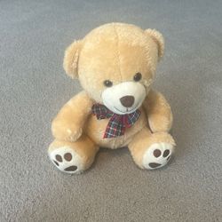 Teddy bear stuffed animal