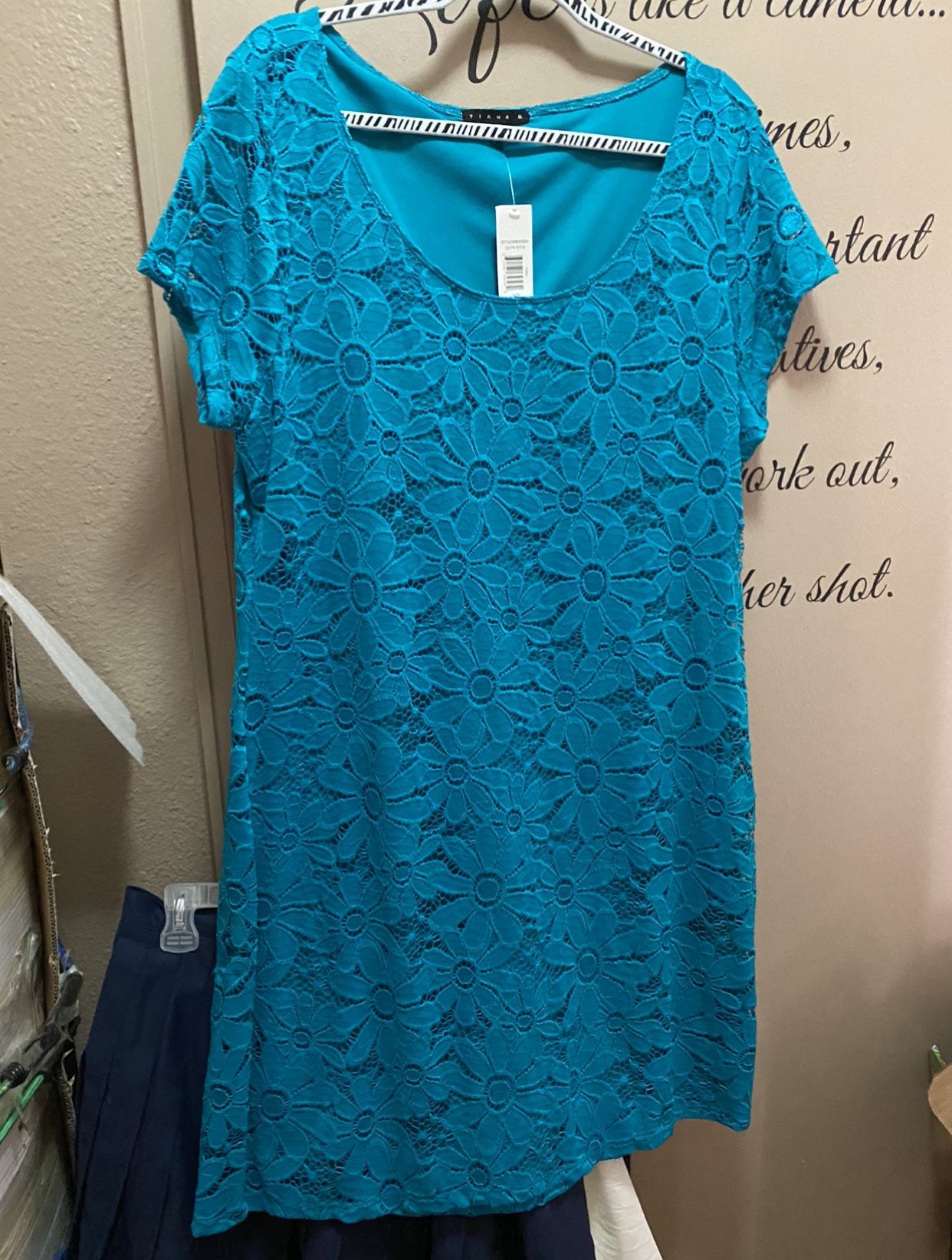 Beautiful Dress With Lace Over It 2XX Never Worn