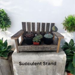 Succulent plant stand