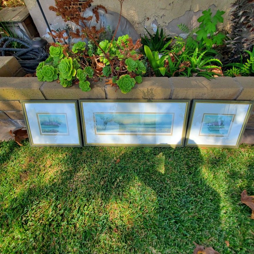 3 Piece Framed Art Set "Spring Sunset I , II & III" By Arnold Alaniz