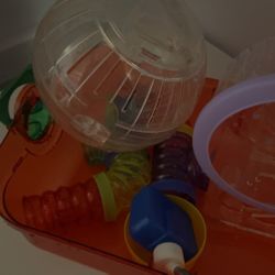 Hamster Supplies Bundle (including food & bedding)