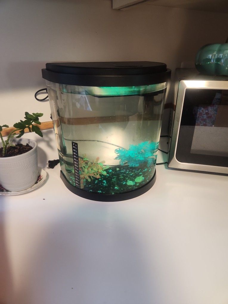 3 Gallon Fish Tank