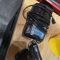 12 Volt Charger And 2 Batteries 