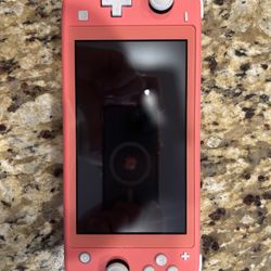 Nintendo lite with case 