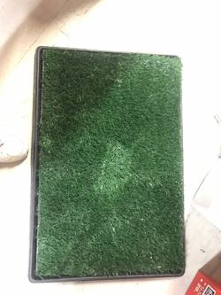 Doggie grass patch