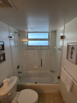 Frameless Glass Shower doors 