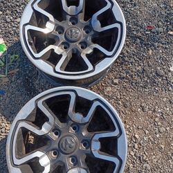 RINES RAM REBELD 2020 