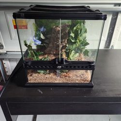 ExoTerra Mini Terrarium 