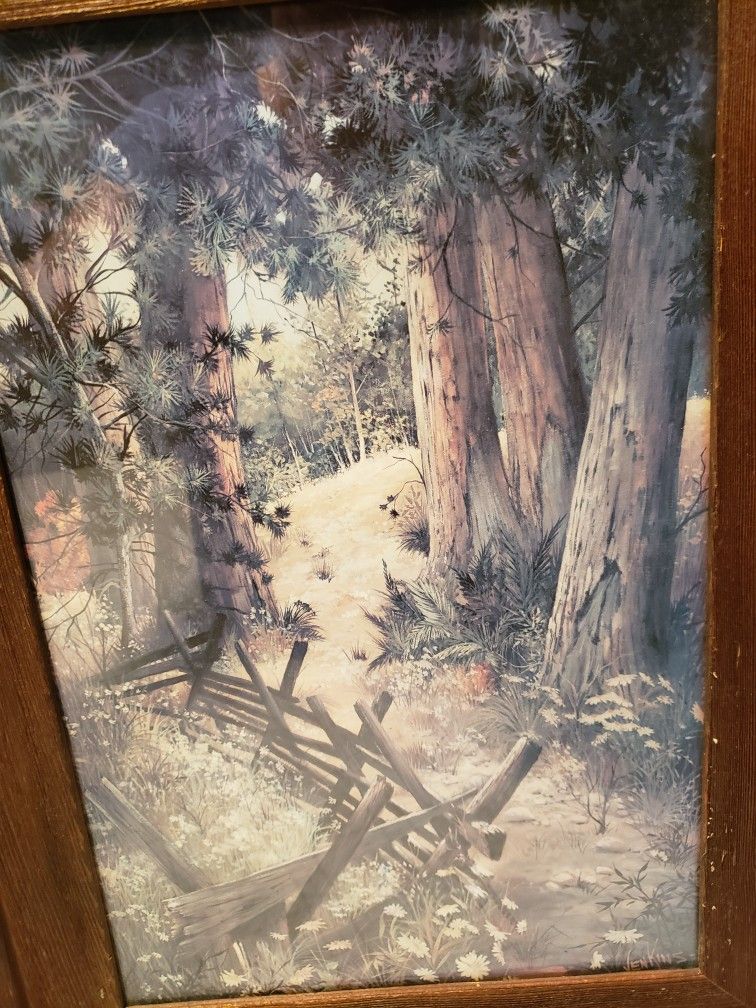 vintage framed woodland print